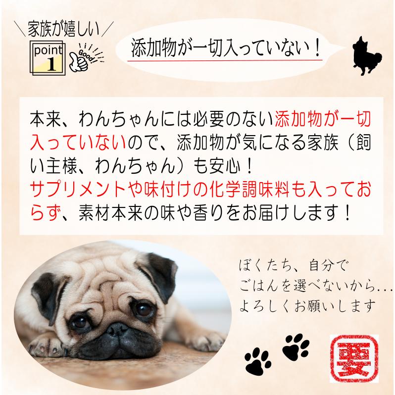 国産 無添加 ドッグフード 【いのちのごはん】 1kg ヒューマングレード