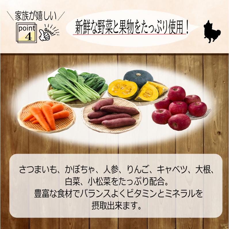 このこのごはん 1kg×4袋　ドッグフード　ヒューマングレード このこのごはん 4袋セット ドライドッグフード