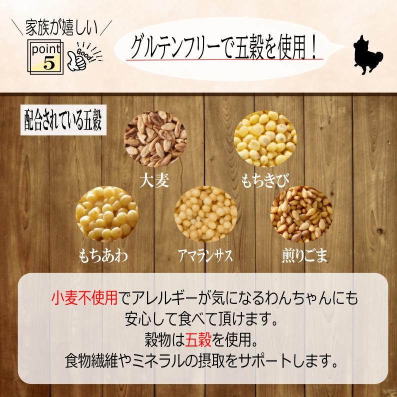 このこのごはん 1kg×4袋　ドッグフード　ヒューマングレード このこのごはん 4袋セット ドライドッグフード