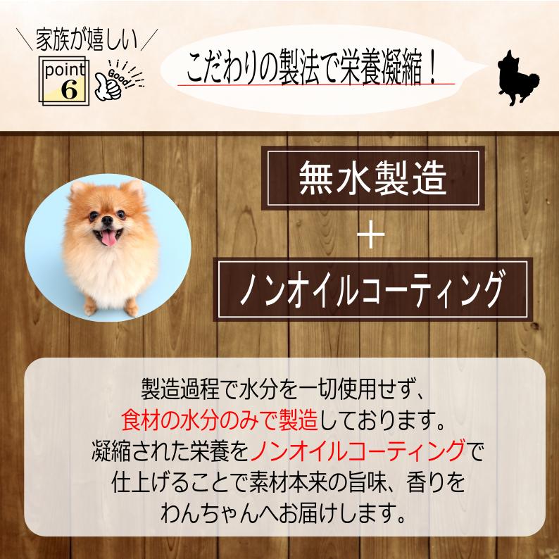 国産 無添加 ドッグフード 【いのちのごはん】 1kg ヒューマングレード