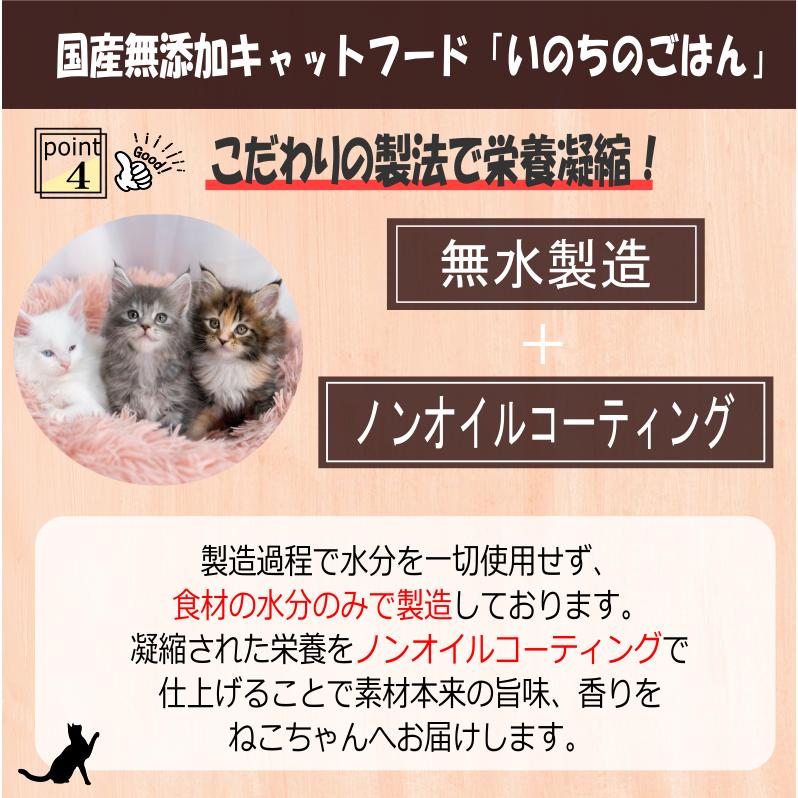 国産 無添加 キャットフード 【いのちのごはんキャットフード】1kg