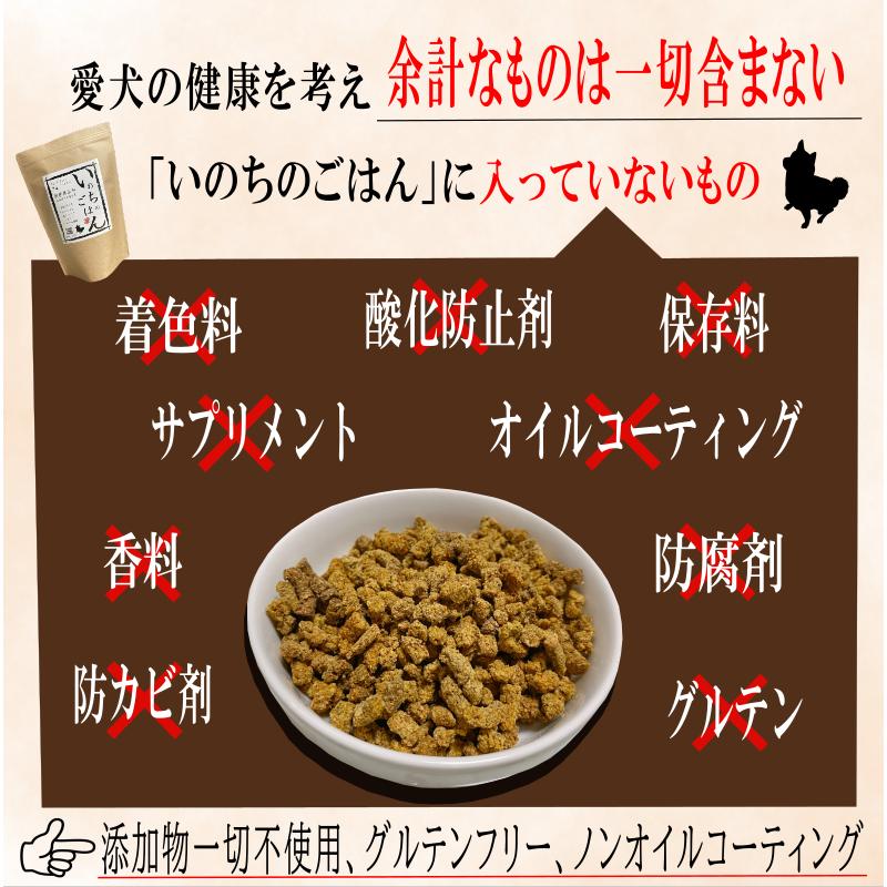 国産 無添加 ドッグフード 【いのちのごはん】【とりこ】お試し 国産 無添加 ドッグフード 【いのちのごはん】【とりこ】お試し