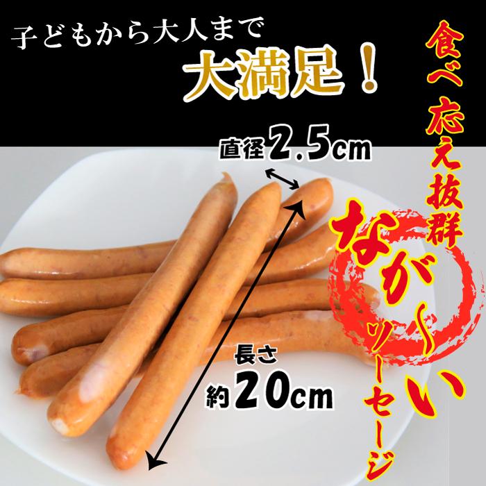 ロングソーセージ 長さ 約20cm 6本 500g ウインナー BBQ 焼肉 ホットドッグ お弁当 冷凍 使い切り longsousage