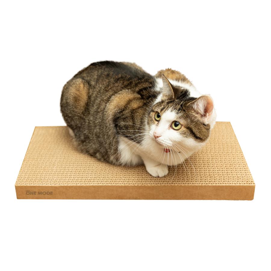 【2個入り】猫 爪とぎ ボード型 長持ち 研ぎカス 落ちない カスが出ない ダンボール 両面使用可 高耐久 ネコ ベッド ソファ 天然素材 掃除簡単 清潔 CSC-BD2 |  | 15