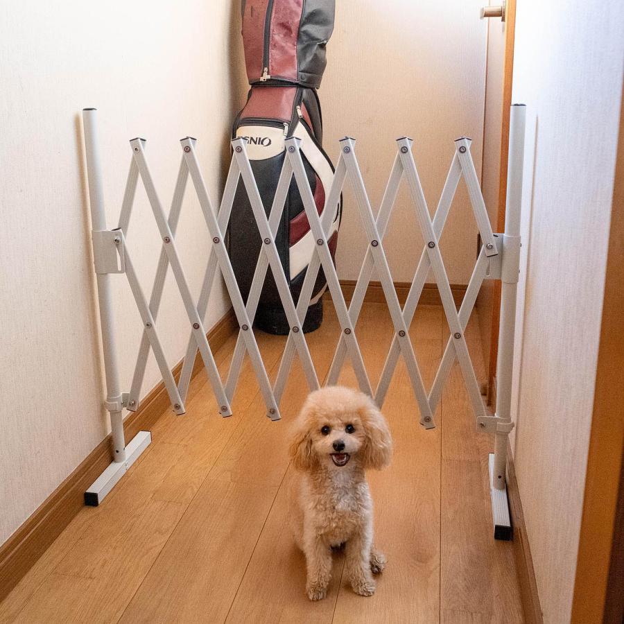 アルミ 伸縮 ゲート フェンス 高さ61〜81cm 幅26〜150cm 置くだけ ペットゲート ペットフェンス 屋内 屋外 防犯 侵入防止 仕切り 軽量 コンパクト ASF150 |  | 12