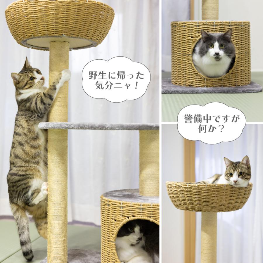 キャットタワー 据え置き 小型 スリム 高さ96cm 多頭飼い おしゃれ 省スペース 猫タワー ハウス 隠れ家 多頭飼い モダン シンプル 組み立て簡単 爪とぎ CTB-BT |  | 04