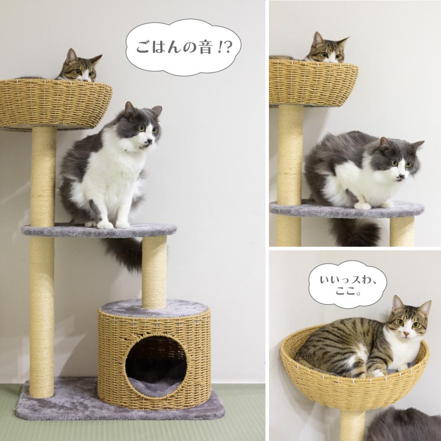 キャットタワー 据え置き 小型 スリム 高さ96cm 多頭飼い おしゃれ 省スペース 猫タワー ハウス 隠れ家 多頭飼い モダン シンプル 組み立て簡単 爪とぎ CTB-BT |  | 05