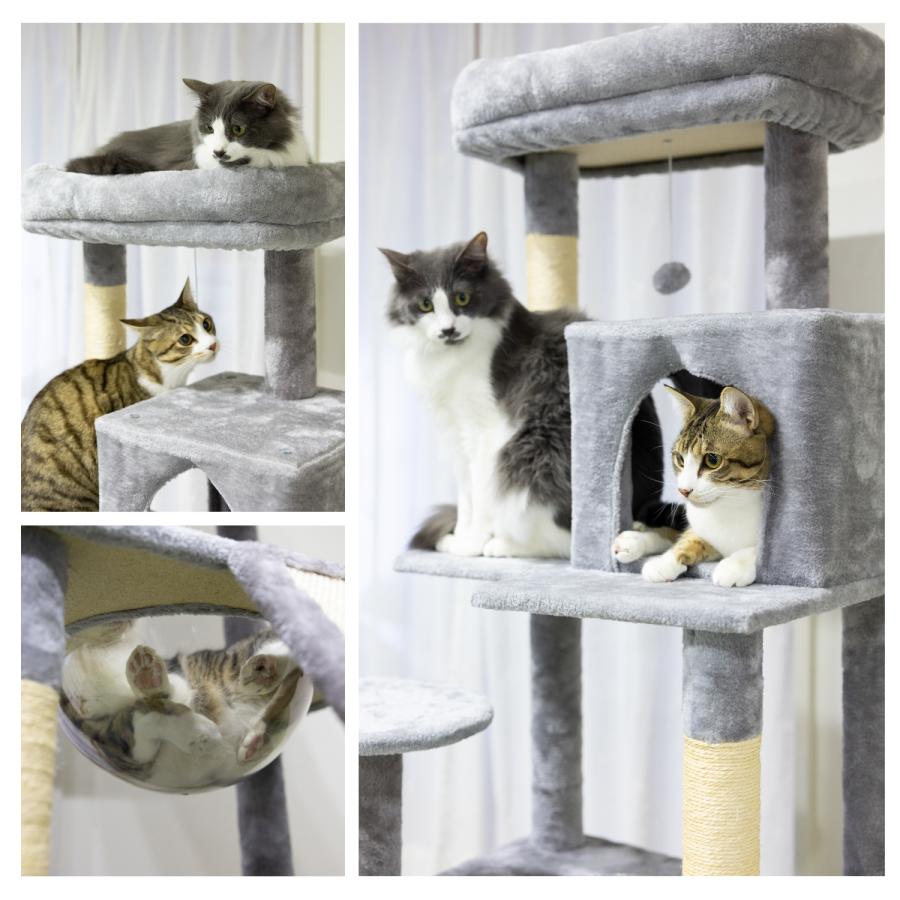 据え置き型 麻紐 爪とぎ 多頭飼い 宇宙船キャットタワー 据え置き型【グレー】 キャットタワー 据え置き 高さ142cm 多頭飼い 大型猫対応 クリアボウル