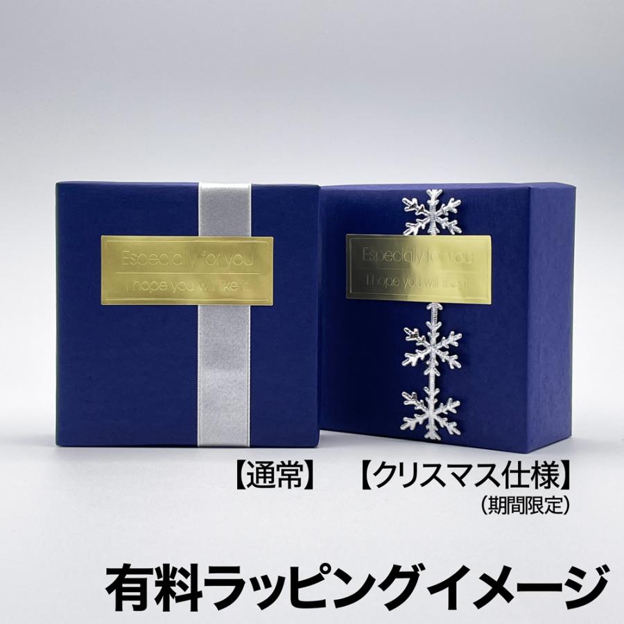 オーディオ機器 イヤフォン ラッピング可 Apple AirPods with Charging Case (第2世代/ワイヤレス オーディオ機器 イヤフォン ラッピング可 Apple AirPods with Charging Case (第2世代/ワイヤレス