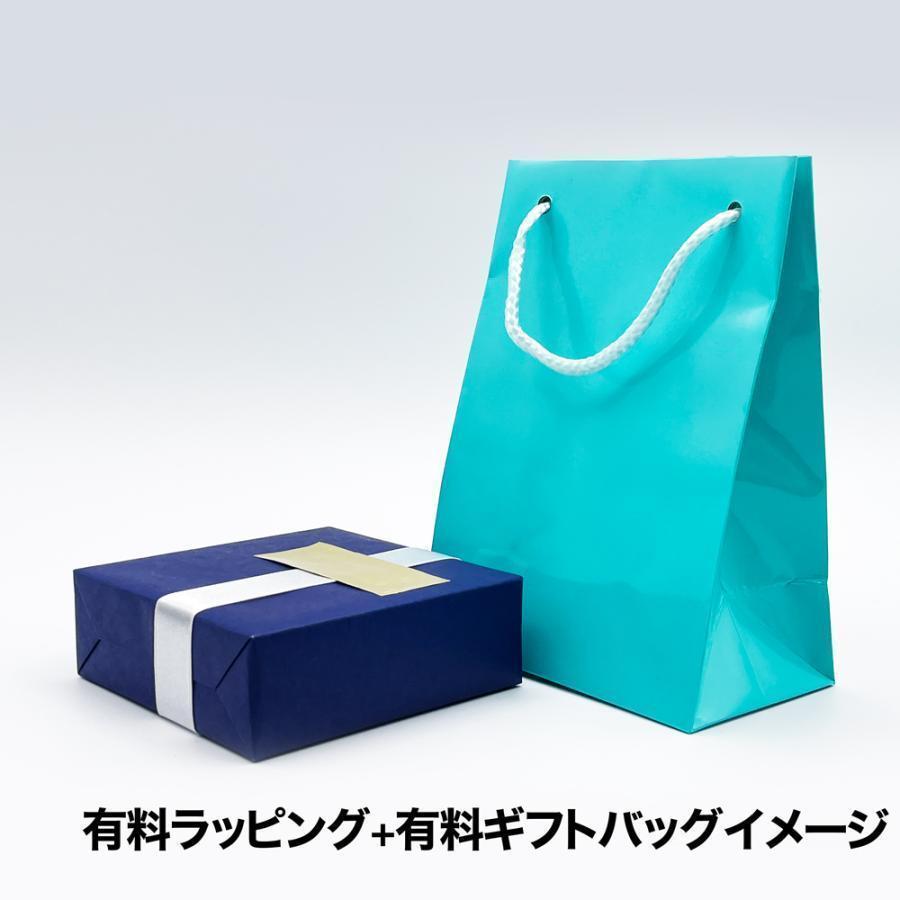 新品未開封AirPods Pro 3 第3世代 MFHP4J/A Apple AirPods Pro 3 MFHP4J/A【お取り寄せ ※1ヶ月から2ヶ月