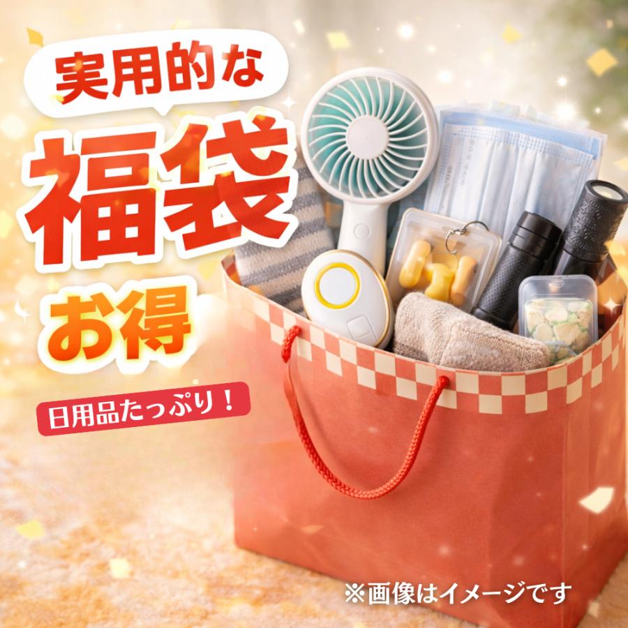 福袋 2026 GPSタグ入り 生活雑貨 iPhone対応 Android対応 日用品 お楽しみ袋 | 