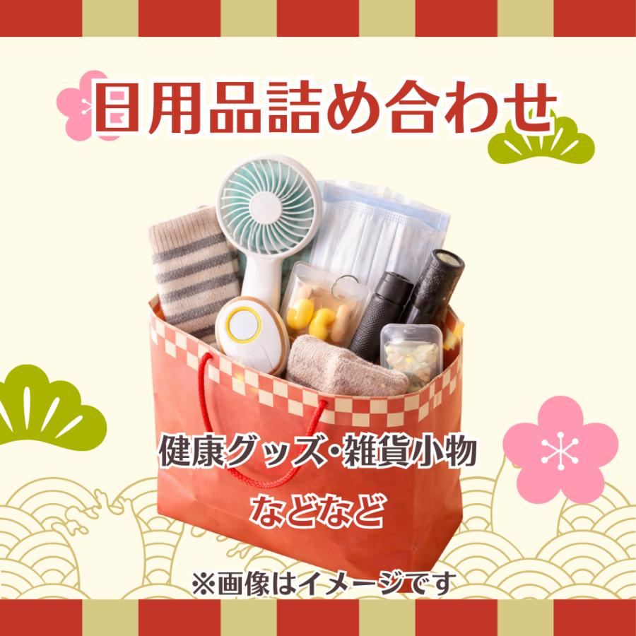福袋 2026 GPSタグ入り 生活雑貨 iPhone対応 Android対応 日用品 お楽しみ袋 |  | 02