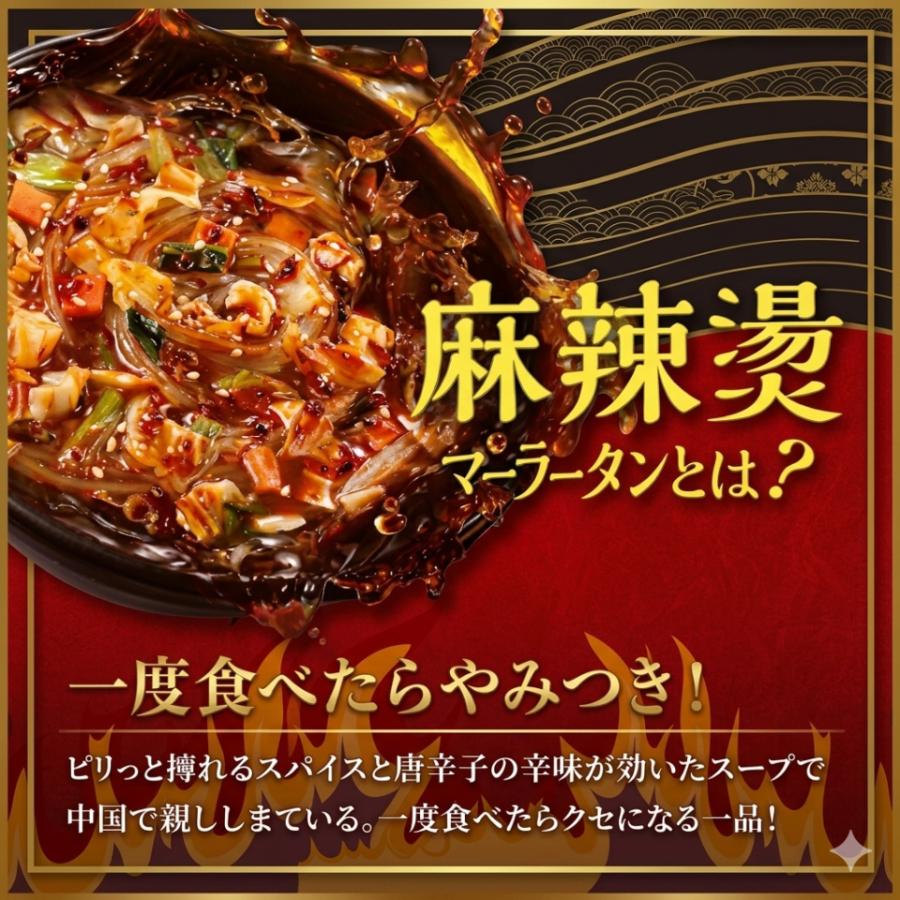 医食同源ドットコム 麻辣湯 マーラータン 88g × 12食 即席春雨 カップ