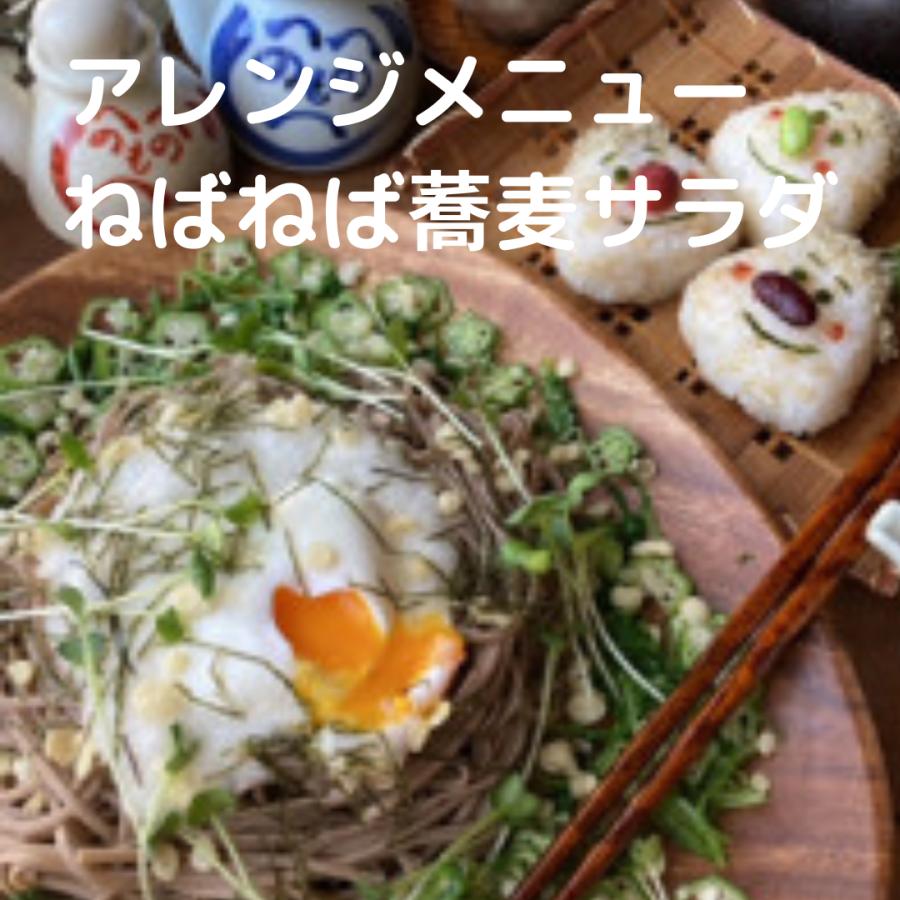 山本かじの 伝統の二八そば 250g×5個 日本そば 蕎麦 乾麺 年越し そば