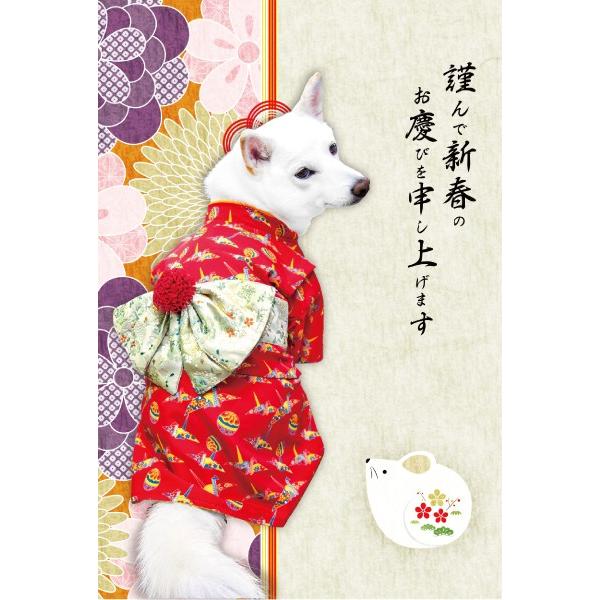 iDog アウトレット 在庫処分 犬 服 柴犬 豆柴 着物 振袖 犬服 中型犬