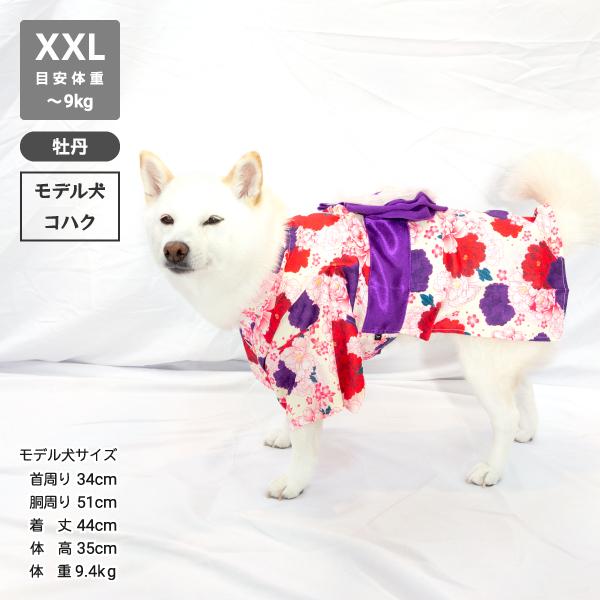 iDog 送料無料 犬 服 柴犬 浴衣 着物 豆柴 中型犬 犬用品 女の子