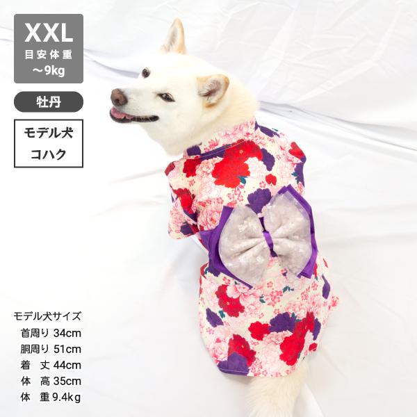 犬 服 柴犬 浴衣 着物 柴犬 豆柴 中型犬 犬用品 女の子 かわいい 大輪帯浴衣 〜9kg｜onepo｜15