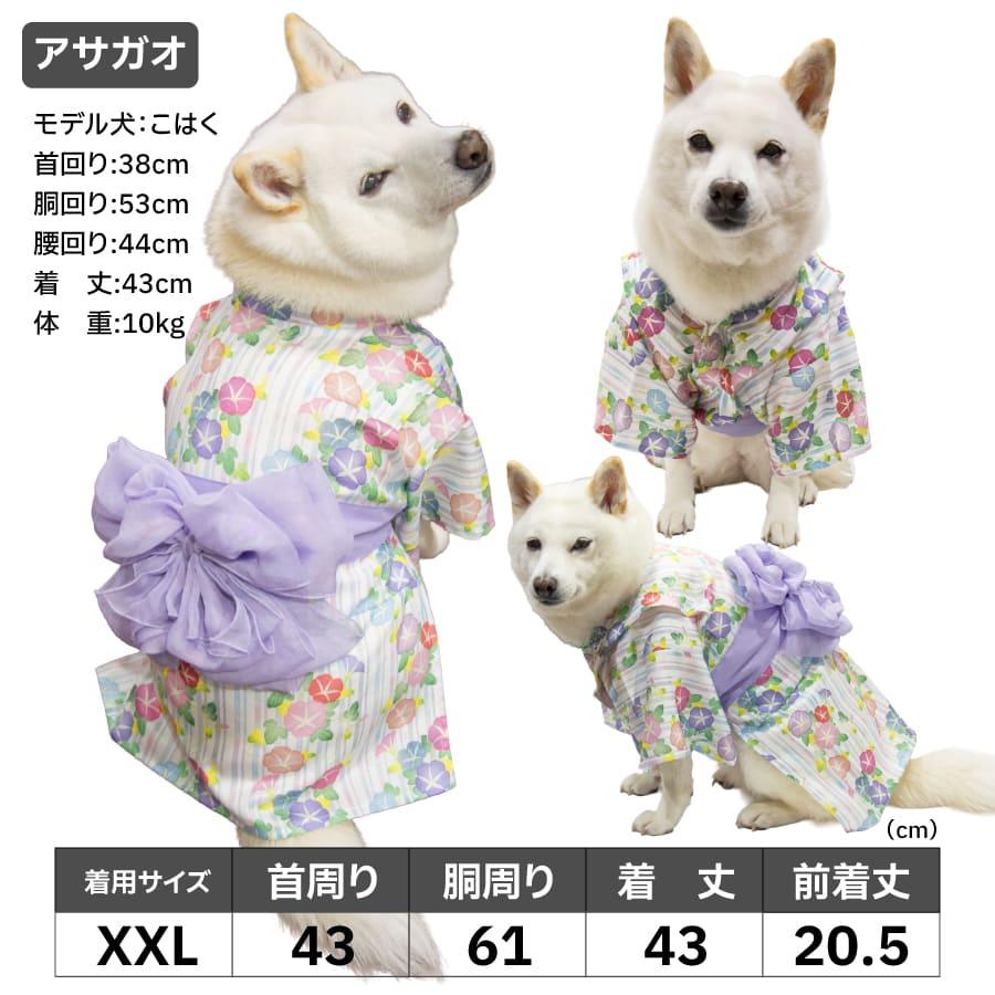 iDog 犬服 浴衣 柴犬 豆柴 犬用浴衣 ペット浴衣 夏祭り 花火大会 和柄