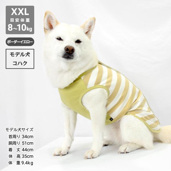 犬 服 歩行サポート 背開き ヘルスケア 柴犬 中型犬 ウェルネスウェア 背中開きタンク XL XXL 6〜10kg｜onepo｜20