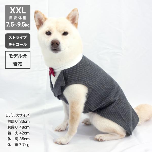 iDog 犬 服 柴犬 犬服 豆柴 中型犬 結婚式 慶事 イベント タンクトップ