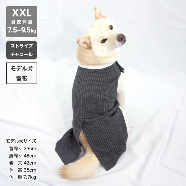 iDog 犬 服 柴犬 犬服 豆柴 中型犬 結婚式 慶事 イベント タンクトップ