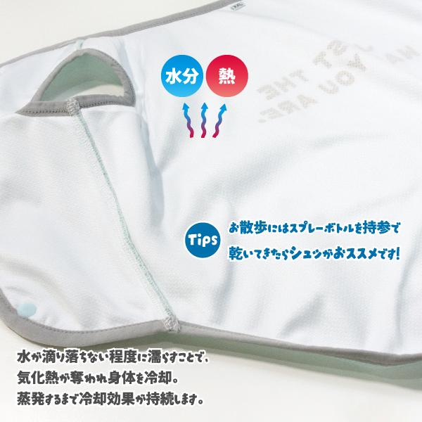 iDog アウトレット 15％OFF 犬 服 柴犬 夏用 クールウェア 暑さ対策