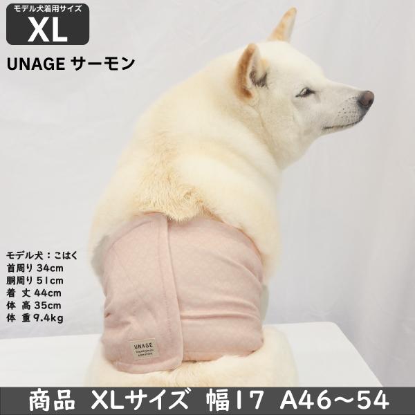 犬用腹巻 歩行サポート 防寒 蓄熱 保温 消臭 抗菌 UVカット ヘルスケア 柴犬 中型犬 ウェルネス 温活 ペット 腹巻き 〜9kg 胴囲27.5〜54cm M L XL｜onepo｜20