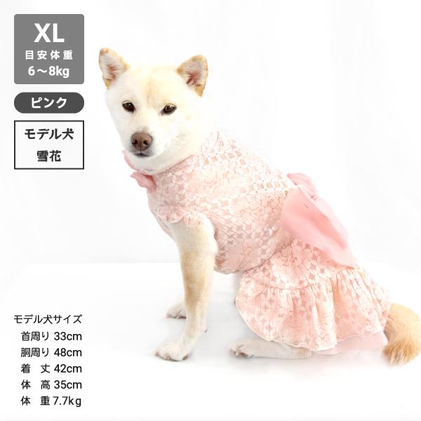 iDog 犬 服 犬服 結婚式 パーティ イベント 柴犬 豆柴 中型犬 犬用品