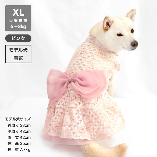 iDog 犬 服 犬服 結婚式 パーティ イベント 柴犬 豆柴 中型犬 犬用品