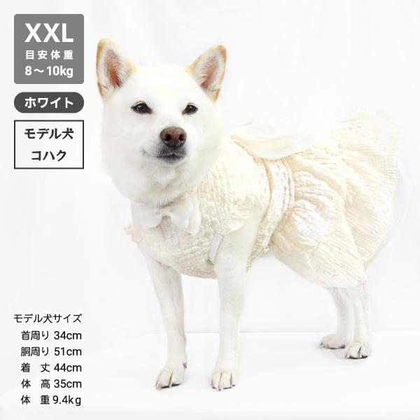 琥珀です。様イタグレ服ハンドメイド