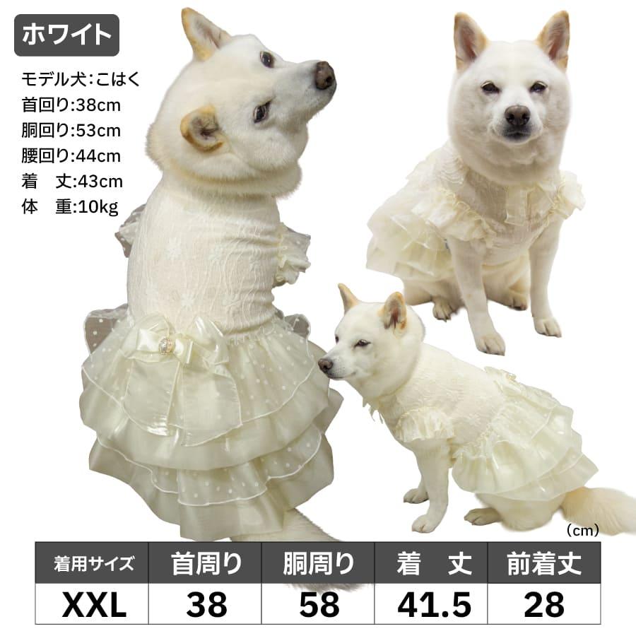 iDog 犬 服 犬服 結婚式 パーティ イベント 柴犬 豆柴 中型犬 犬用品