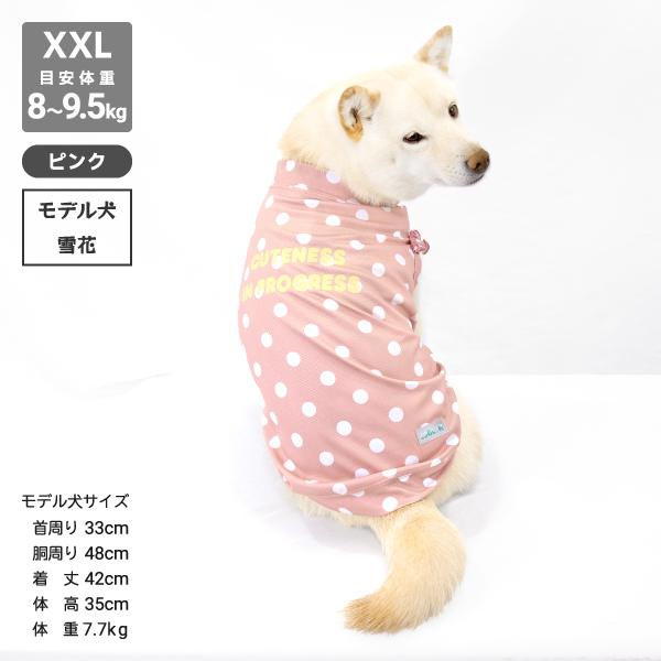 iDog 送料無料 アウトレット 犬 服 柴犬 夏服 夏用 クール 冷感 豆柴