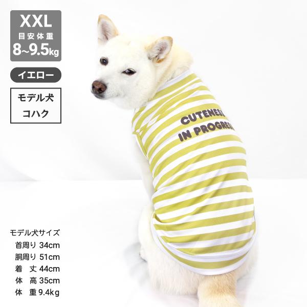 iDog 送料無料 アウトレット 犬 服 柴犬 夏服 夏用 クール 冷感 豆柴