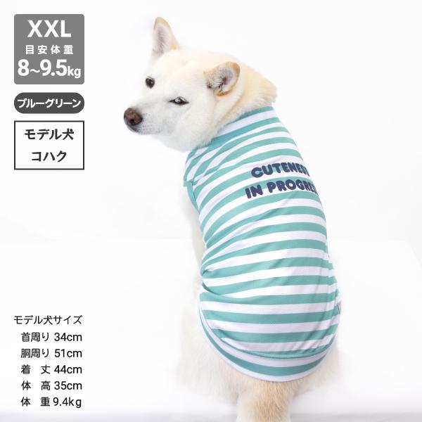 iDog 送料無料 アウトレット 犬 服 柴犬 夏服 夏用 クール 冷感 豆柴