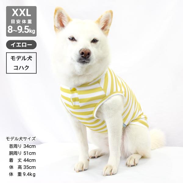 iDog 送料無料 アウトレット 犬 服 柴犬 夏服 夏用 クール 冷感 豆柴