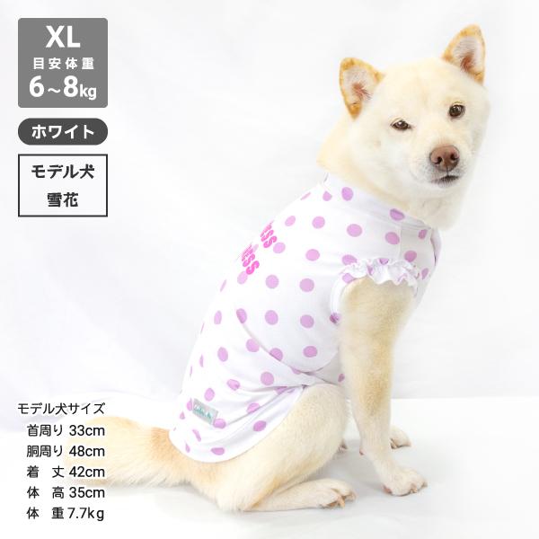 iDog 送料無料 アウトレット 犬 服 柴犬 夏服 夏用 クール 冷感 豆柴
