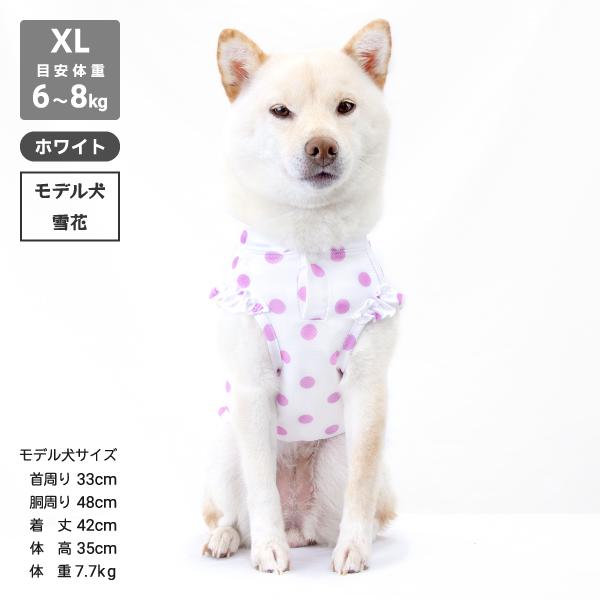 iDog 送料無料 アウトレット 犬 服 柴犬 夏服 夏用 クール 冷感 豆柴