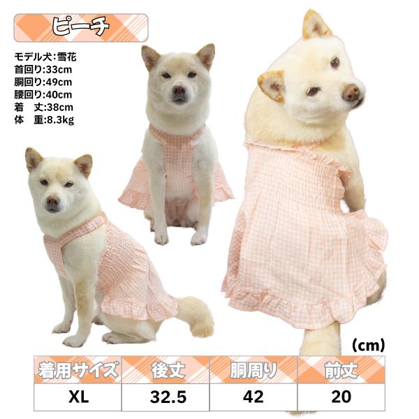 ちぃ！犬服MD5枚 楽天市場】【5倍ポイント！毎週金曜日！】 ペットウェア 犬服