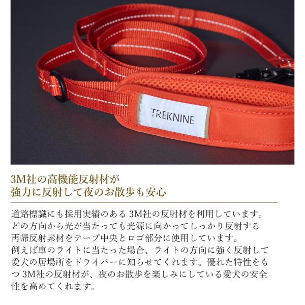 iDog 犬 リード Wロック ネジ式 柴犬 おしゃれ 犬用品 中型犬 小型犬