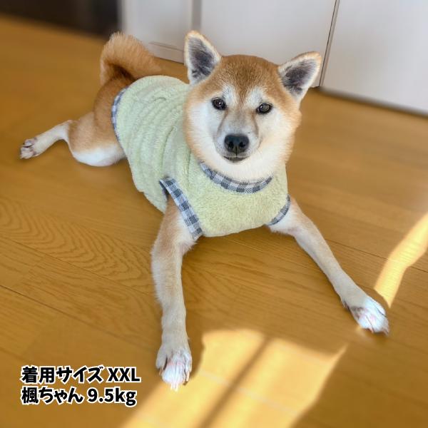 iDog 犬 服 柴犬 犬服 防寒 裏ぽか 豆柴 小型犬 中型犬 〜9kg XL