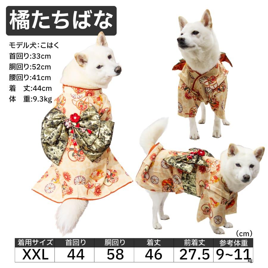 犬用 振袖 着物ファー付き 正月 SSサイズ 犬 服 犬服 着物 振袖 柴犬