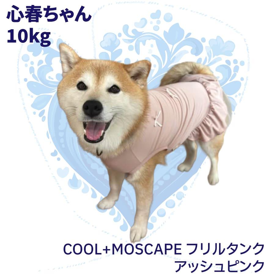 iDog 犬 服 ワンピ かわいい 犬服 柴犬 豆柴 中型犬 小型犬 犬用品