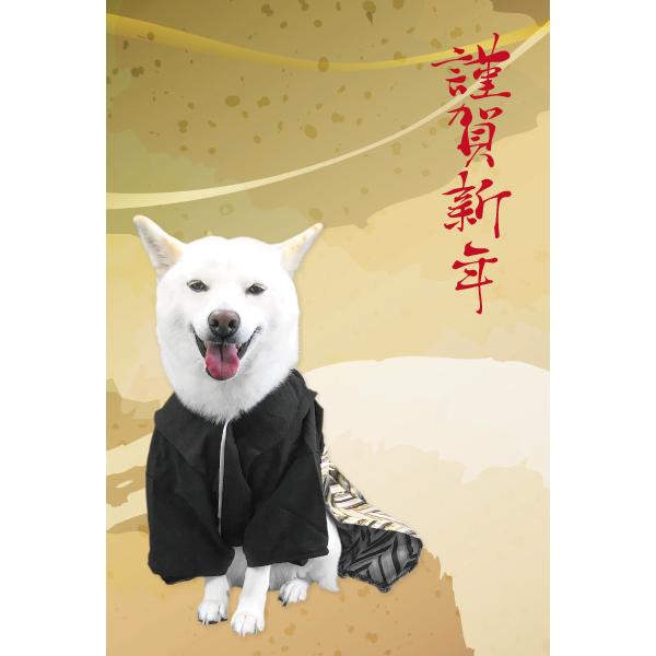 iDog 犬 服 犬服 着物 豆柴 柴犬 中型犬 人気 犬用品 七五三 お正月