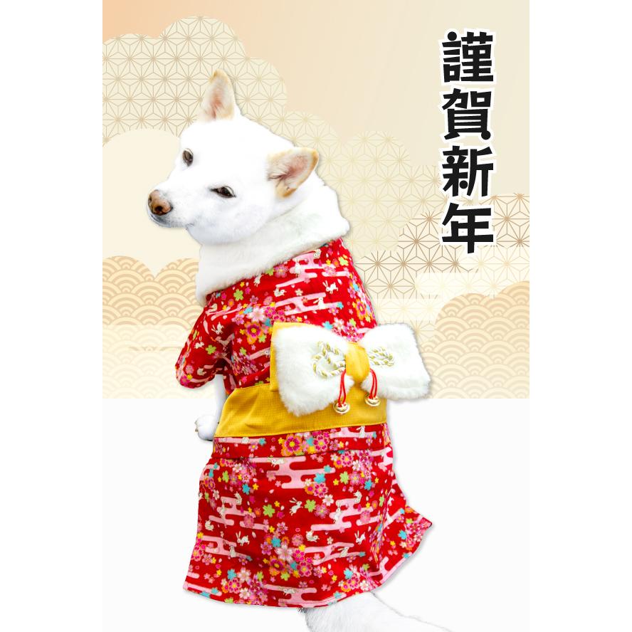 アウトレット 10％OFF 犬 服 犬服 着物 振袖 柴犬 豆柴 中型犬 犬用品 七五三 正月 お祝い 誕生日 女の子 かわいい 映え うさぎ晴れ着 〜10kg｜onepo｜12