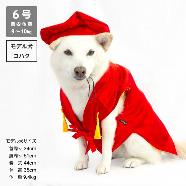 LIFELIKE（ライフライク） 犬 服 犬服 還暦 バースデー お祝い