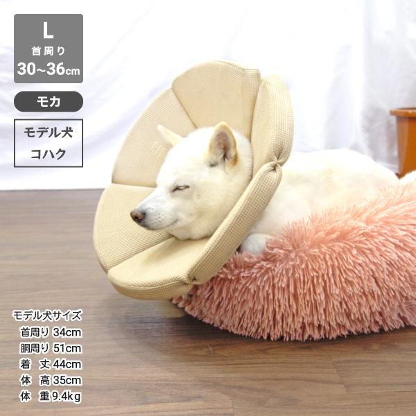 LIFELIKE（ライフライク） 犬 エリザベスカラー 足舐め防止 犬用品