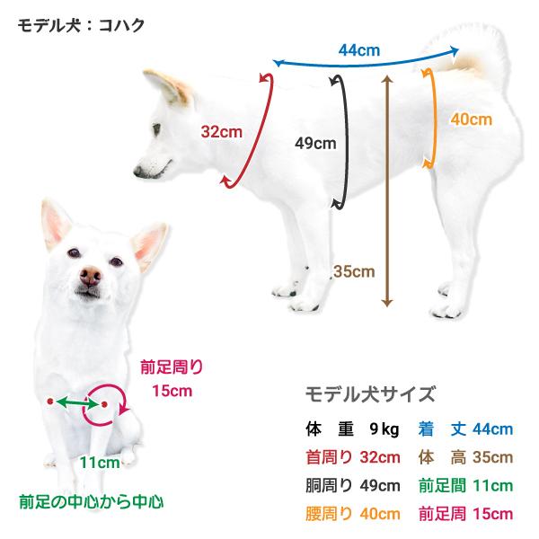 犬の着物 振袖 エキゾチカ ekizochika 1.7~1.9キロ サイズ LIFELIKE（ライフライク） 犬 服 犬服 着物 振袖 柴犬 豆柴 中型犬 犬