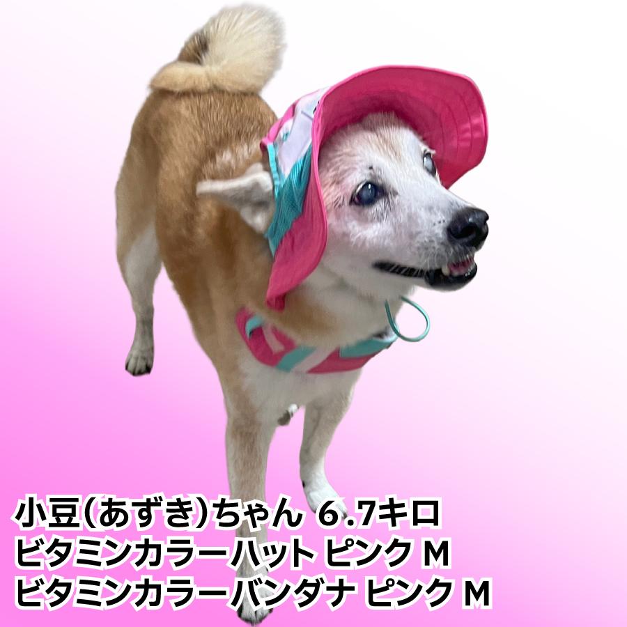 LIFELIKE（ライフライク） 犬 帽子 ハット 被り物 かぶりもの UVカット