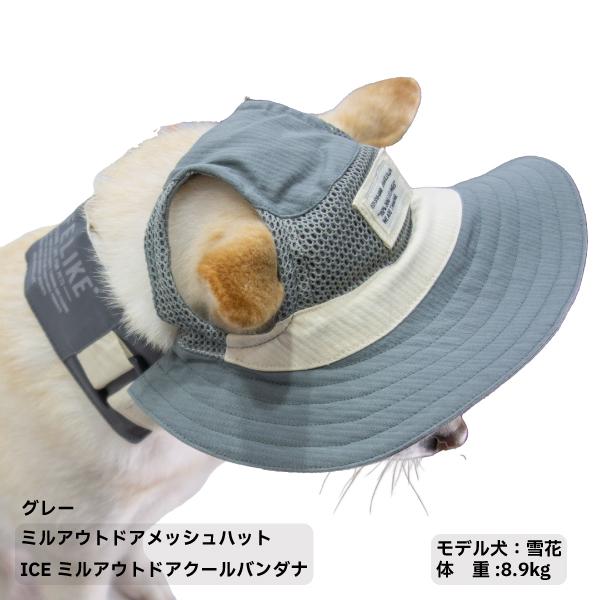 LIFELIKE（ライフライク） 柴犬 帽子 ハット 犬 被り物 かぶりもの UV