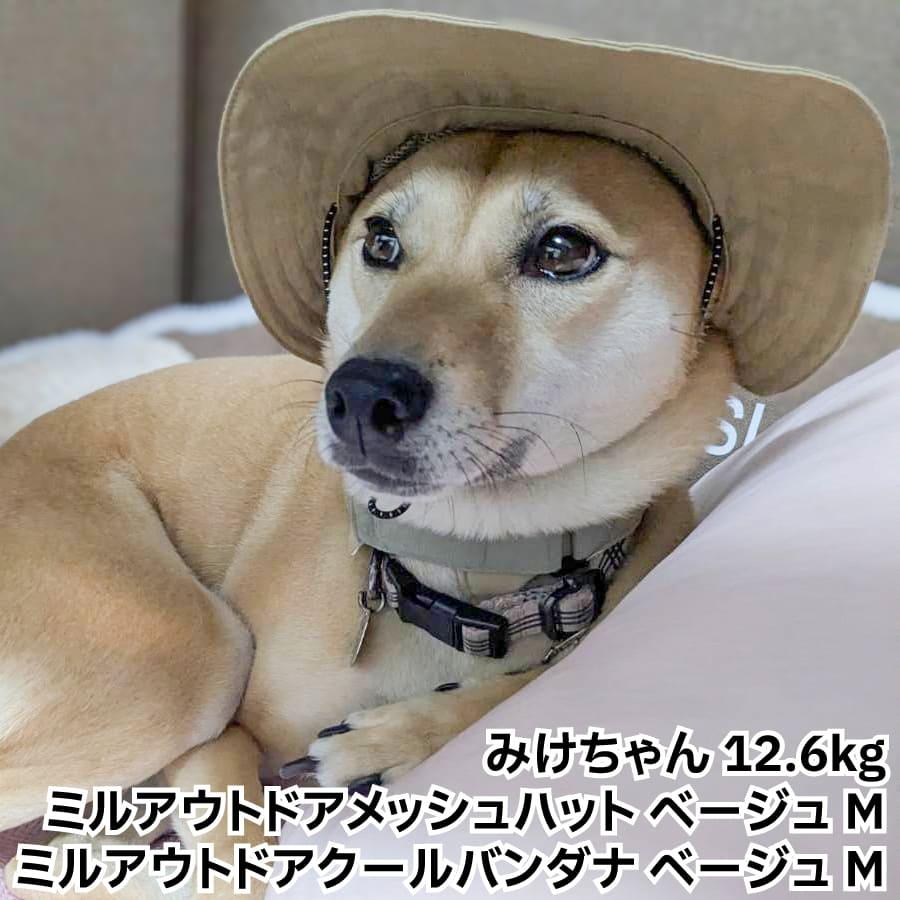 LIFELIKE（ライフライク） 柴犬 帽子 ハット 犬 被り物 かぶりもの UV